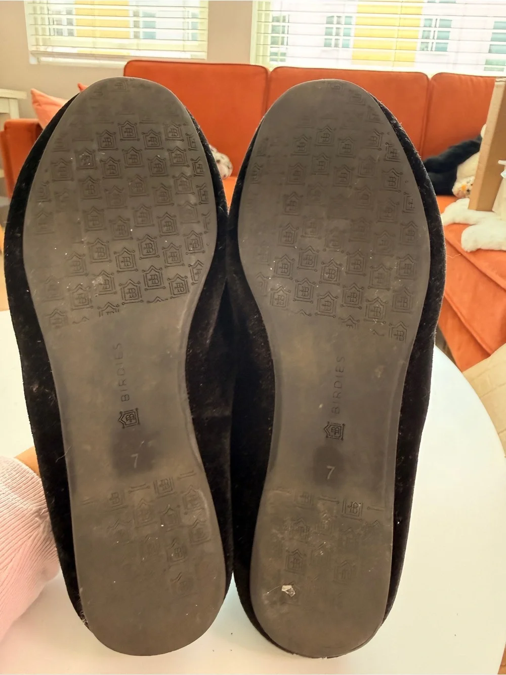 Birdies Black Velvet Starling Loafers